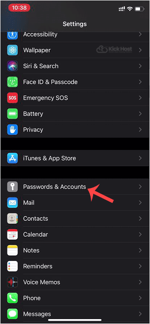 ios-apple-passwords-and-accounts.gif